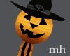 Witch Pumpkin Lantern