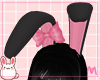 p. bunny black ears