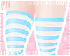 🐾 Striped Socks Blue