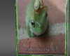 froggy with hatt