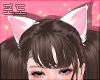 포도. Cat Cute.