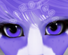 *L* Pand A Eyes
