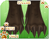 [Pets] Spar | feet
