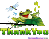 thank you frog