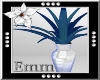 !E! Blue Agave Plant