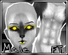 (M)Tinge Fur [FT]