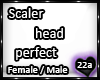 22a_Scaler head perfect