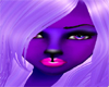 *SL* Purple Furry Skin