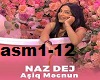 Naz Mahmoud-Asik Mecnun