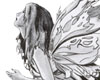 Dawn Fairy