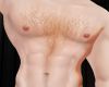 (SDM) AlphaTop-Ginger