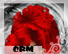 crm*red rihanna5