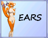 Creamsicle Ears