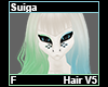 Suiga Hair F V5
