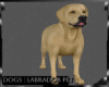 Lab Dog Pet Animated