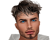 Wolf (Brown)