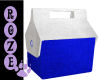 *R* Ice Chest Cooler