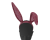 Pink Bunny Ears