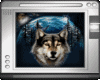 Animated Wolf 19