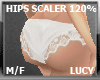 LC HIPS SCALER 120%