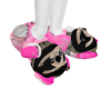 luxx teddy