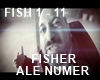 Ale numer - Fisher