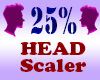 Resizer 25% Head