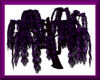 Tree *Willow* purple