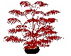 Palm~PotPlant~Red