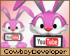 YouTube Rabbit 1V2