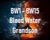 Blood Water - Grandson