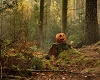 Forest Pumpkin BG