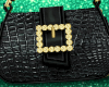 Elegant Bag