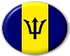 Barbadian flag button