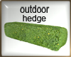 Outdoor Hedge