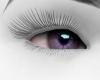 Z. Lilac Eyes