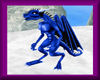Pet *Devils Dragon* blue