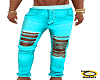 .(IH) JEANS XTRA RIPPED5