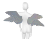 C.J.R. Wings WHITE
