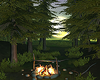 Forest Camping
