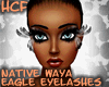 HCF Native Eagle Eyelash
