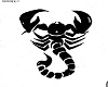 tatoo scorpion