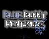 Blue Bunny Penthouse