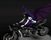 Devil Evil Wings + moto