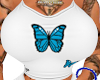Buttefly