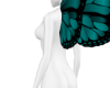 Sml teal butterfly wings