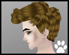 Edward Cullen Hair