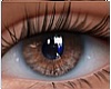 brown eyes
