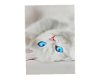 Blue-Eyed Kitty CutOut