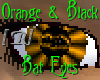Orange Bat Eyes